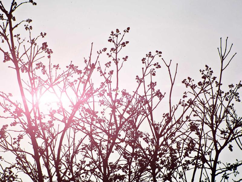 sudoku color blind mode screenshot 4